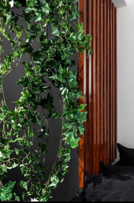 Novel Acropolis Apartment Ateny Zewnętrze zdjęcie